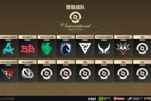 中国预选落幕！Ti三支中国战队确定：TR、VG以及XG