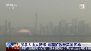 加拿大仍有超800处山火！世界杯决赛超8万人观战，或受烟霾影响